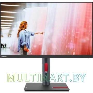Монитор Lenovo ThinkVision P24q-30 (63B4GAT6EU)